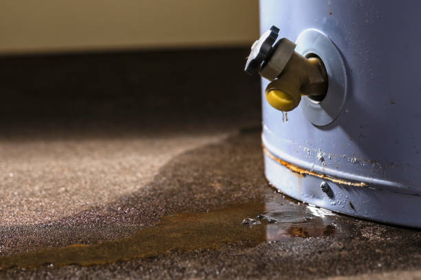 Best Water damage contractors near me  in Stanton, CA