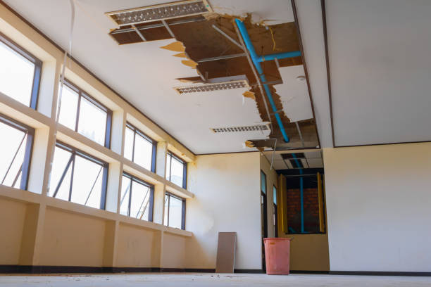 Best Water damage cleanup near me  in Stanton, CA