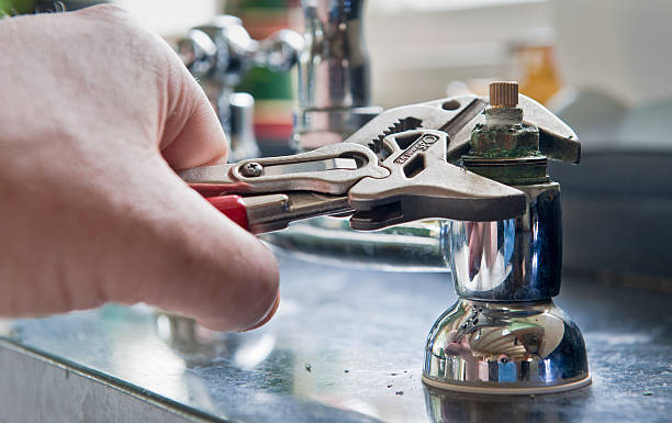 Best Mold removal after water damage  in Stanton, CA