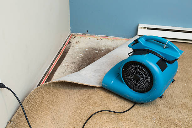 Best Emergency water damage restoration  in Stanton, CA